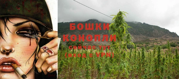 PSILOCYBIN Алзамай