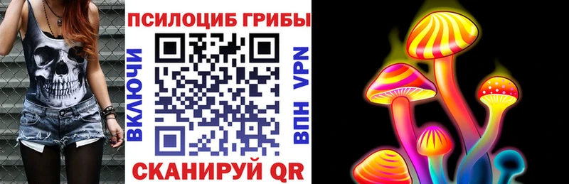закладка  Черкесск  Галлюциногенные грибы MAGIC MUSHROOMS 